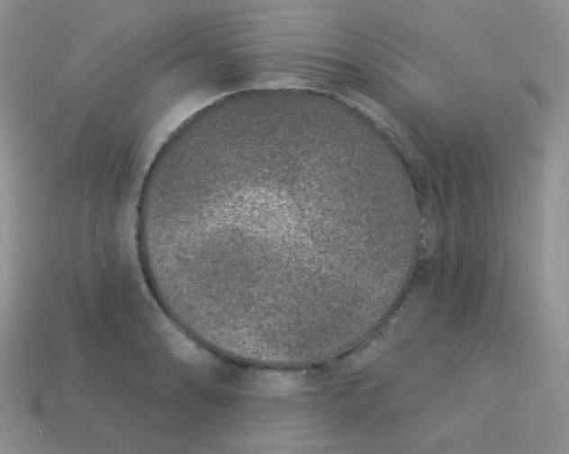 X0000113611086200910091536