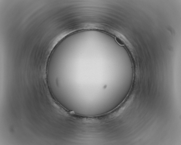 X0000113611089200910091536