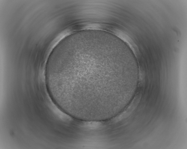 X0000113611090200910091536