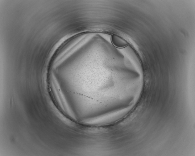 X0000113611091200910091536