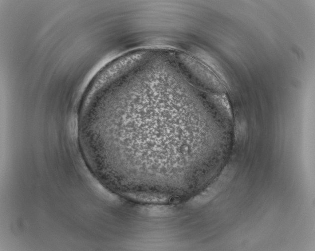 X0000113611092200910091536