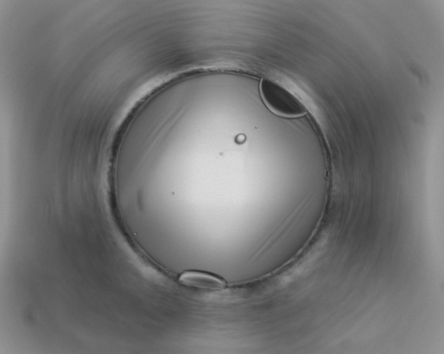 X0000113611093200910091536