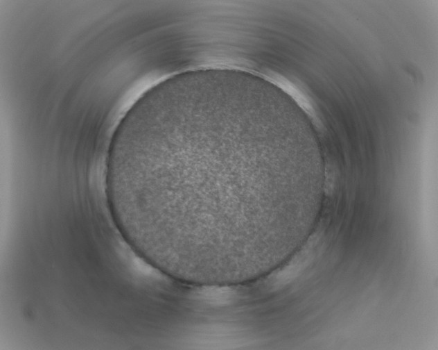 X0000113611094200910091536