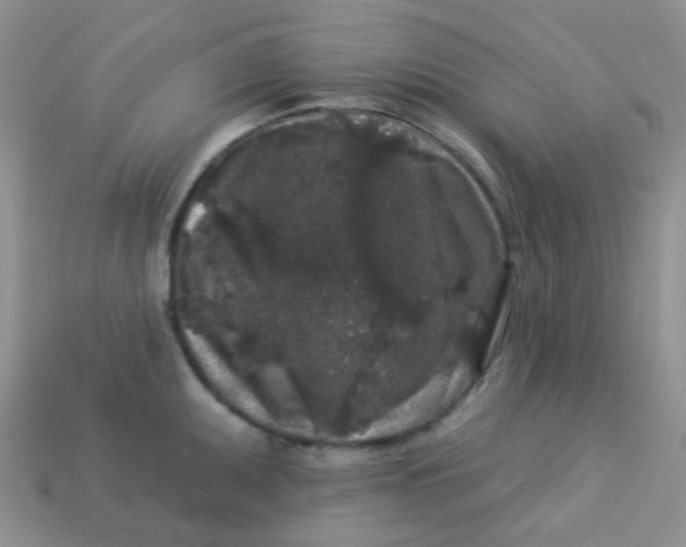 X0000113611095200910091536