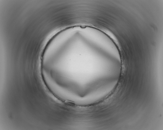 X0000113611096200910091536