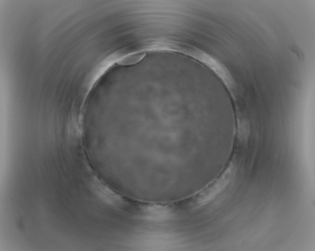 X0000113611097200910091536