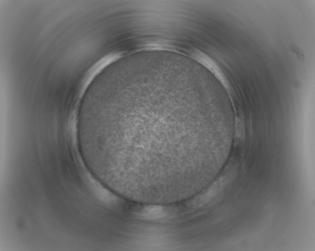 X0000113611098200910091536