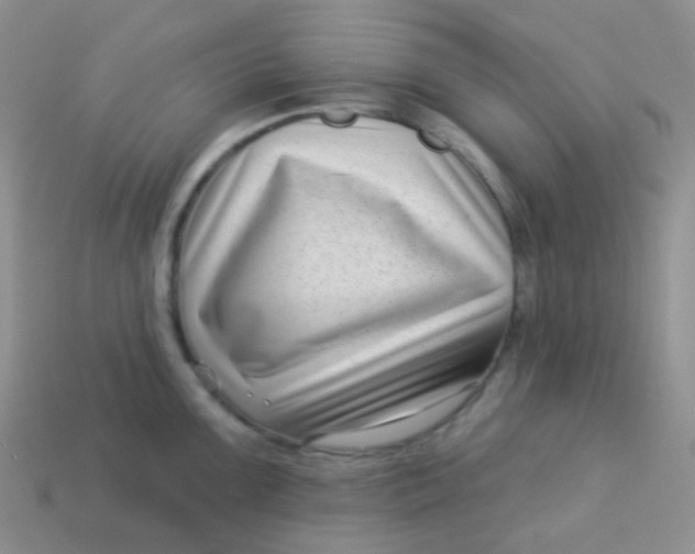 X0000113611099200910091536