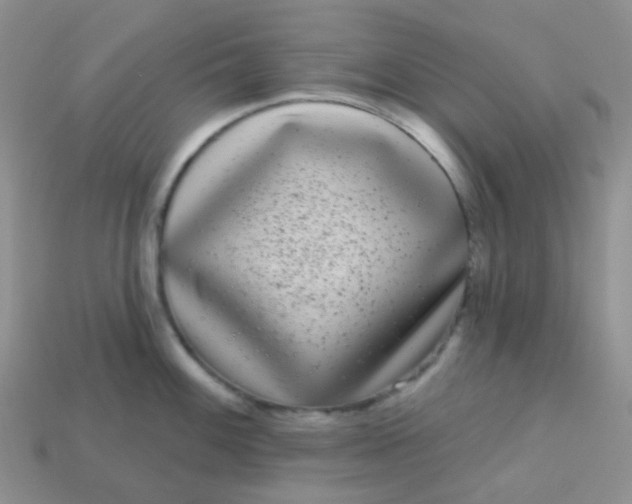 X0000113611100200910091536