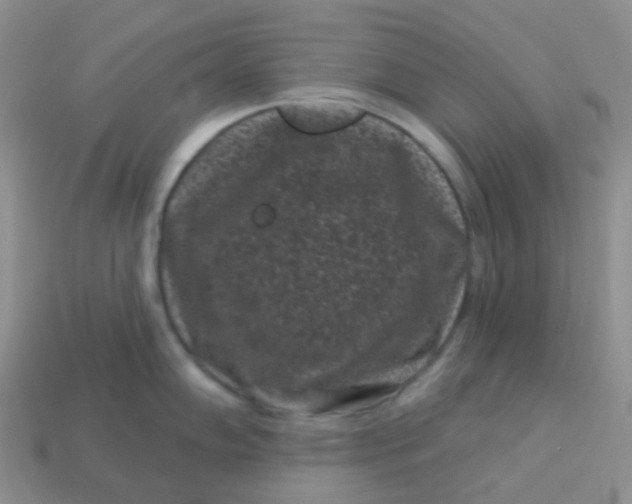 X0000113611102200910091536