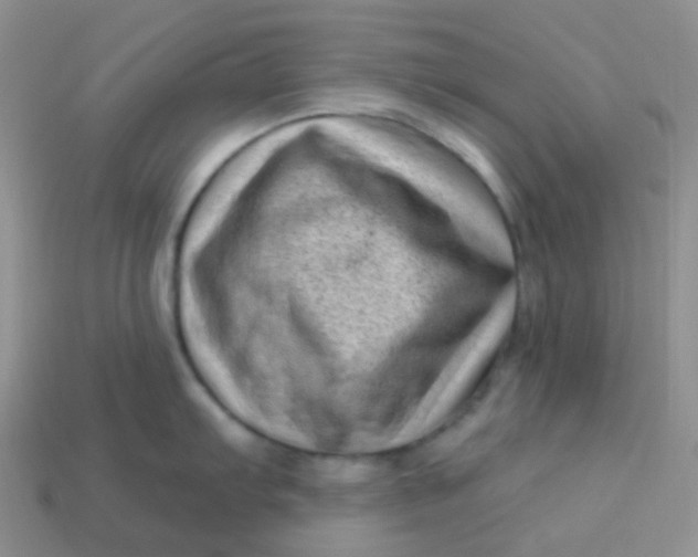 X0000113611103200910091536