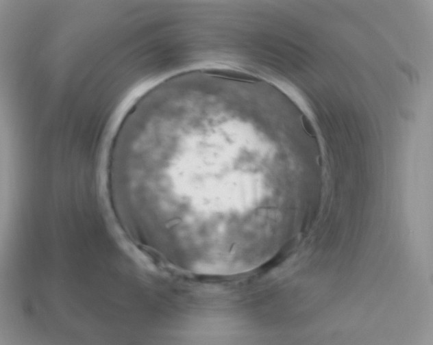 X0000113611104200910091536