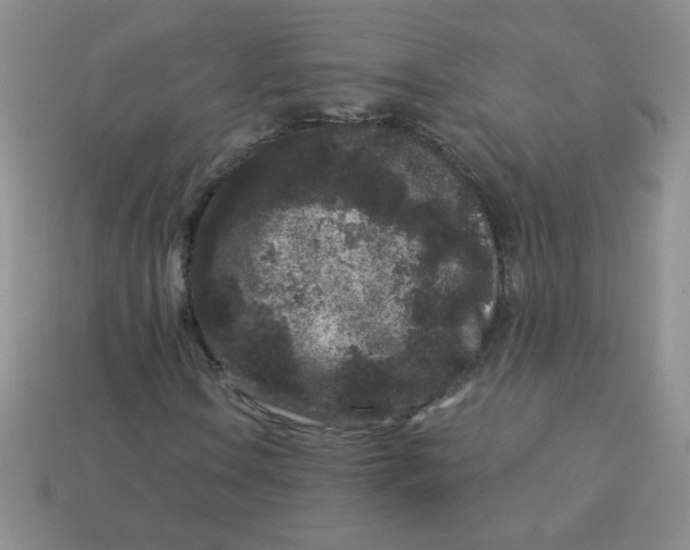 X0000113611106200910091536