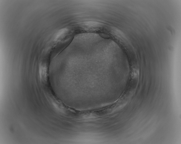 X0000113611108200910091536