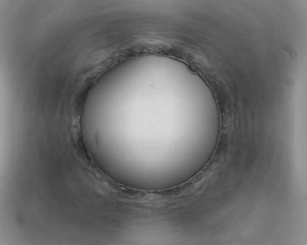 X0000113611109200910091536