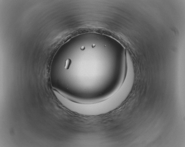 X0000113611110200910091536