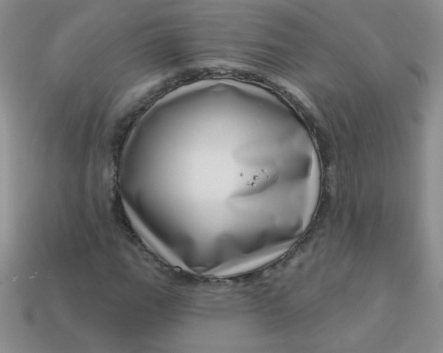 X0000113611111200910091536