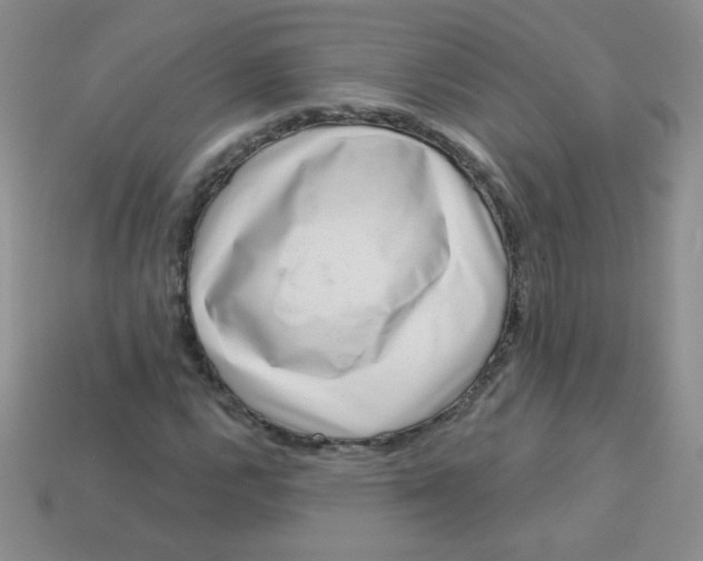 X0000113611112200910091536