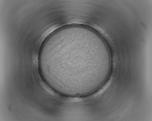 X0000113611113200910091536