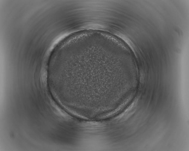 X0000113611115200910091536