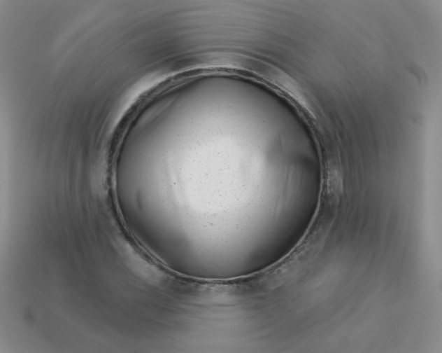 X0000113611116200910091536