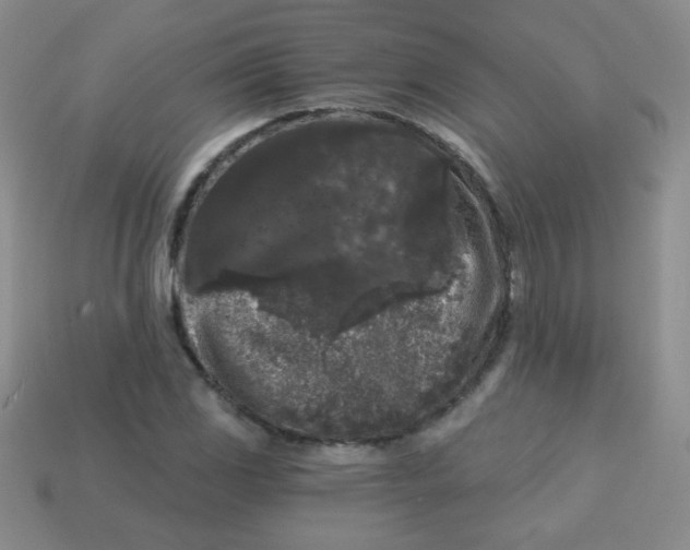 X0000113611117200910091536