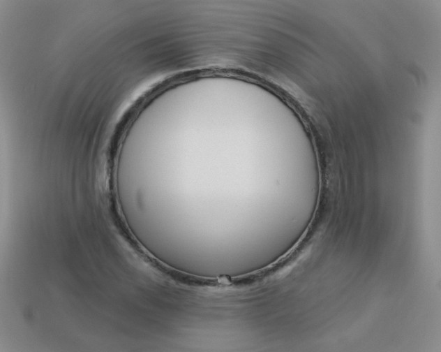 X0000113611118200910091536