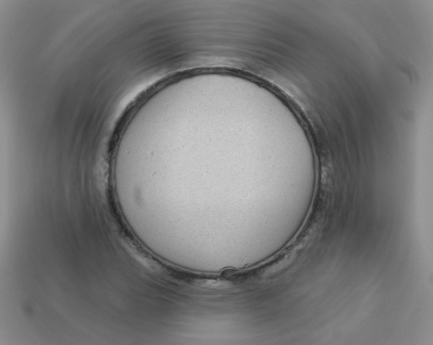 X0000113611119200910091536