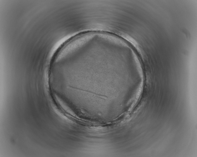 X0000113611120200910091536