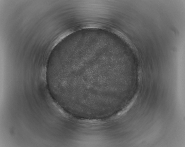 X0000113611121200910091536