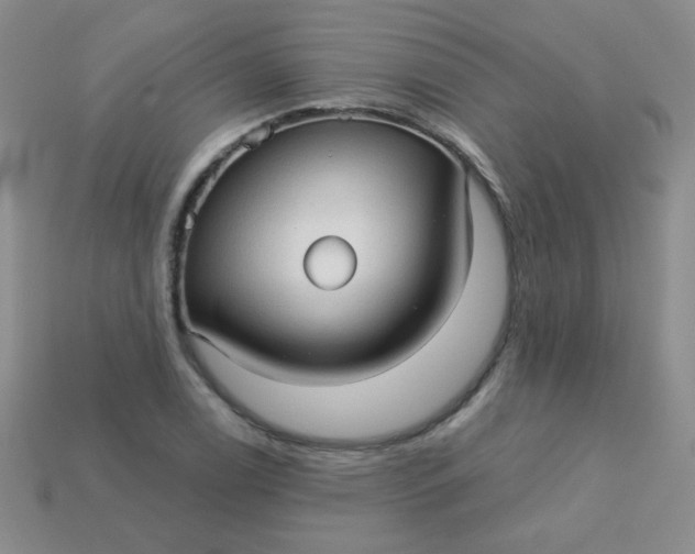 X0000113611122200910091536