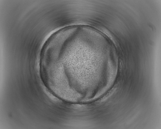 X0000113611124200910091536