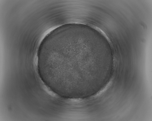 X0000113611125200910091536