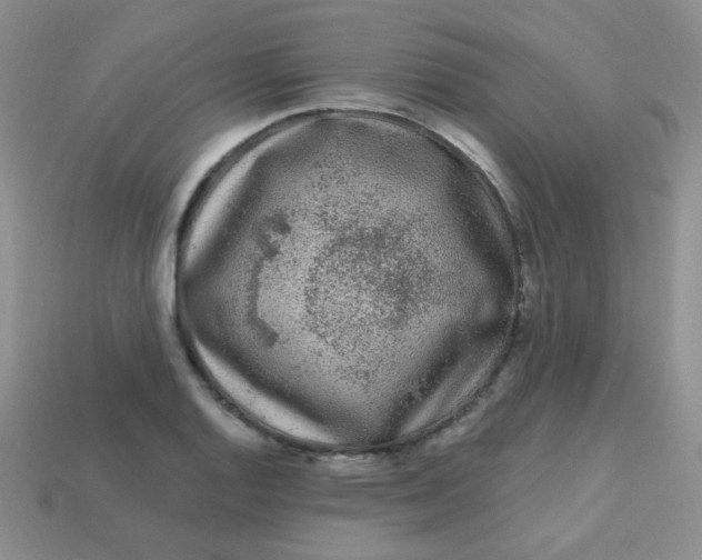 X0000113611128200910091536