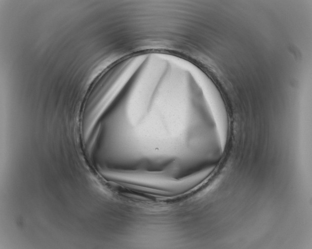 X0000113611129200910091536