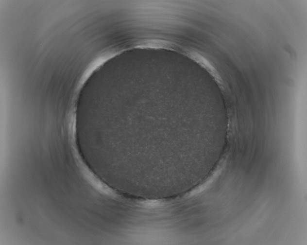 X0000113611130200910091536