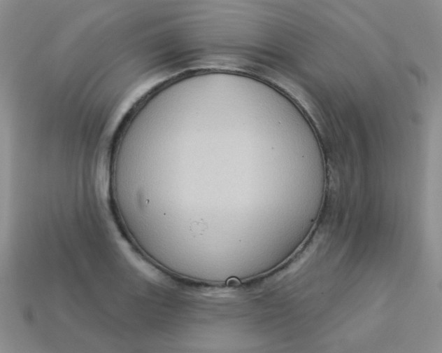 X0000113611131200910091536