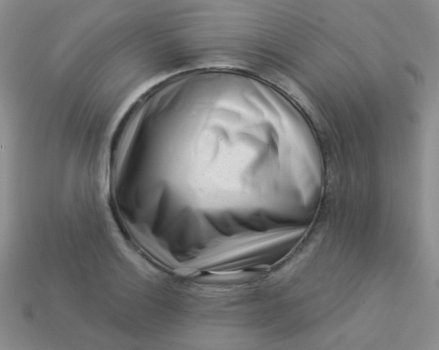 X0000113611132200910091536