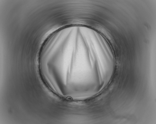 X0000113611133200910091536