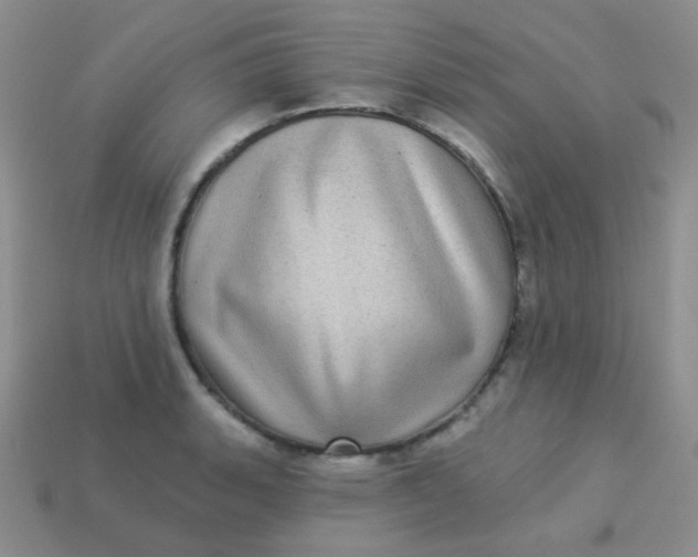 X0000113611135200910091536