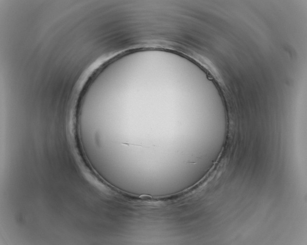 X0000113611136200910091536