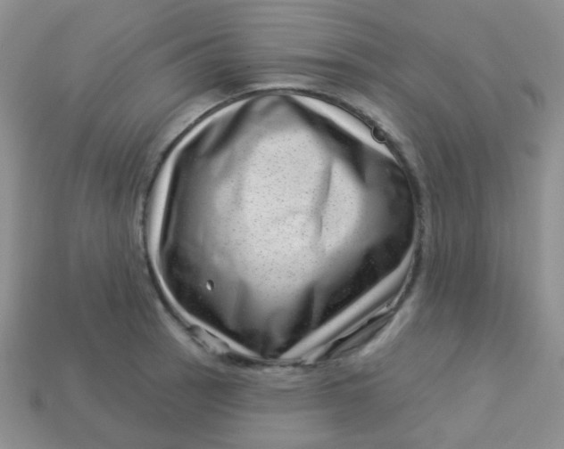 X0000113611137200910091536