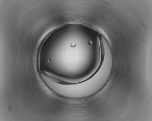 X0000113611138200910091536