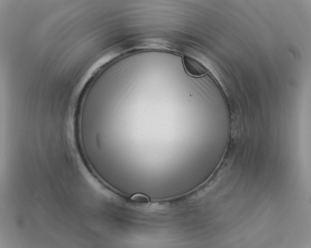 X0000113611139200910091536