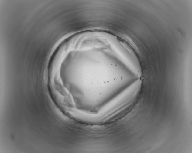 X0000113611140200910091536