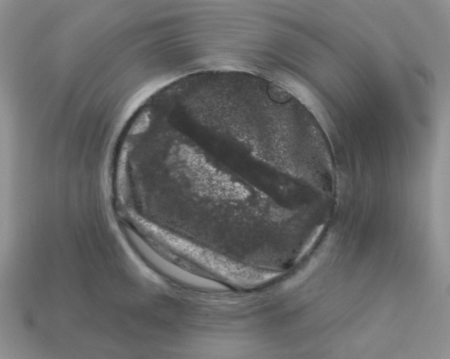 X0000113611141200910091536