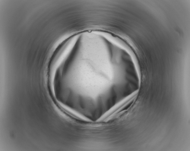 X0000113611143200910091536