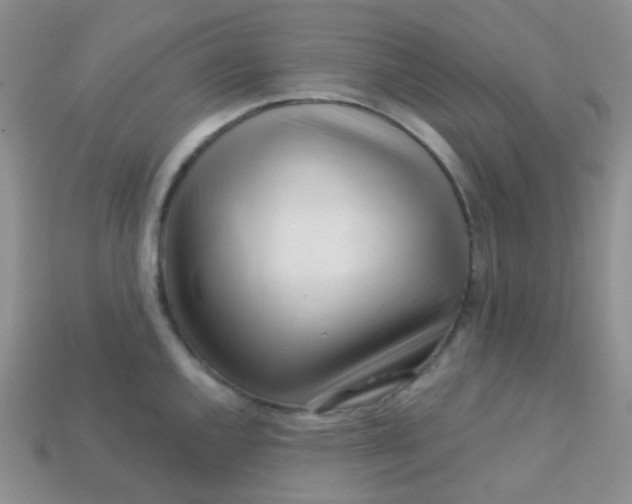 X0000113611144200910091536