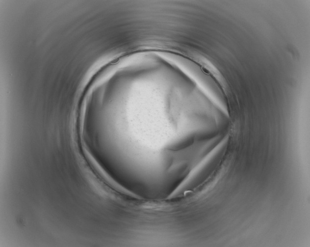 X0000113611146200910091536