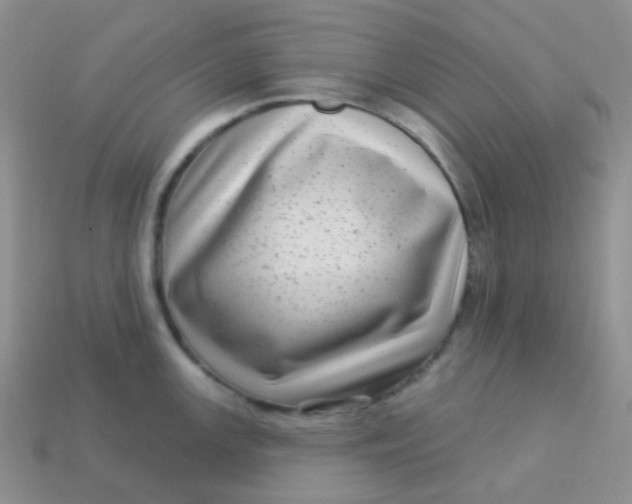 X0000113611147200910091536